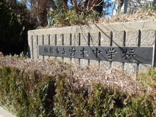 中学校　船橋市立宮本中学校（中学校）まで334m