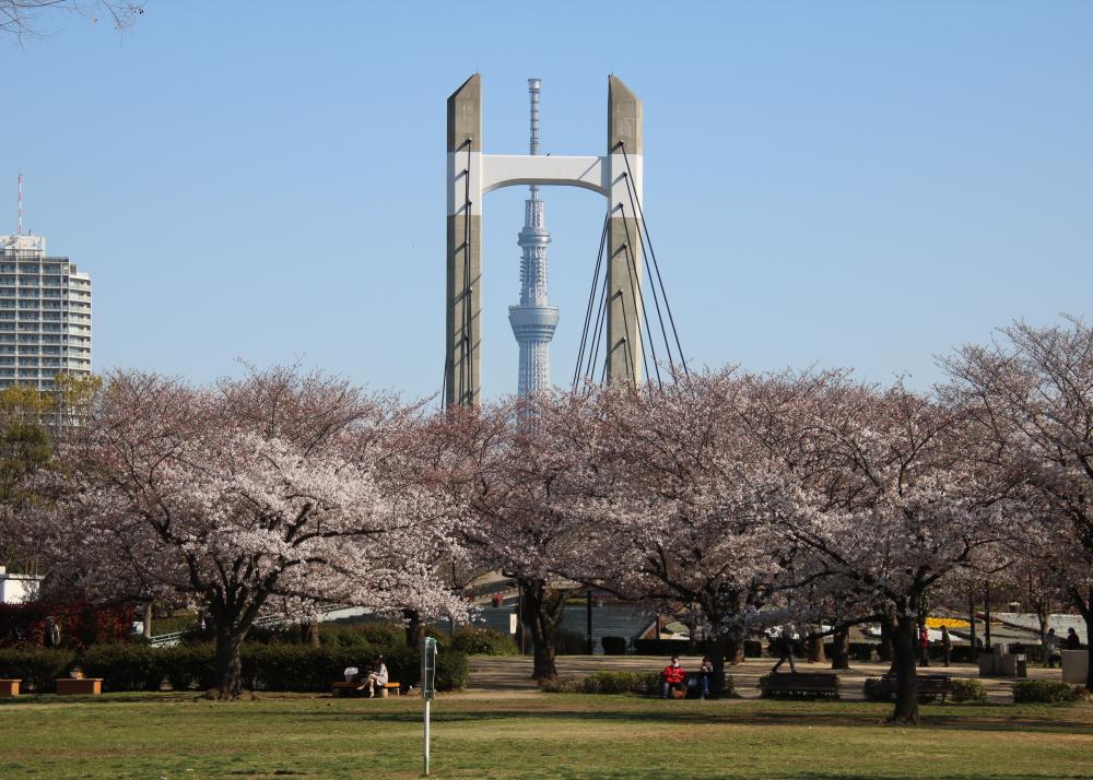 公園　木場公園（公園）まで529m