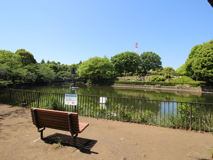 公園　鹿沼公園（公園）まで1200m