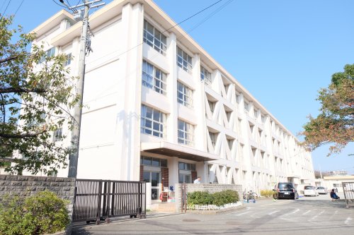 小学校　藤沢市立村岡小学校（小学校）まで285m