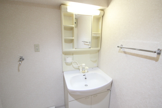 洗面設備　※別号室の写真です