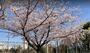 公園　田川公園（公園）まで1653m