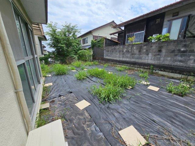 庭