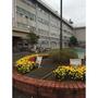 小学校　金沢市立三馬小学校（小学校）まで751m