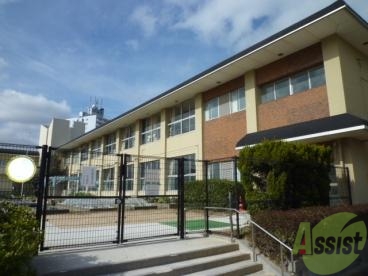 小学校　神戸市立高倉台小学校（小学校）まで317m