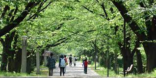 その他　辰巳の森緑道公園（その他）まで171m