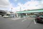 コンビニ　ファミリーマート 門真北島店（コンビニ）まで338m