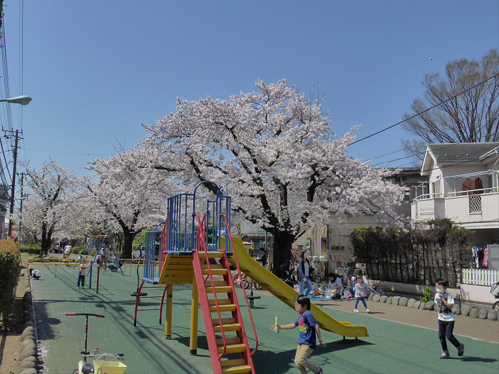 公園　玉川上水緑道（公園）まで606m