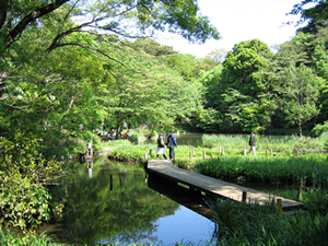 公園　国立自然教育園（公園）まで500m