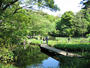 公園　国立自然教育園（公園）まで500m