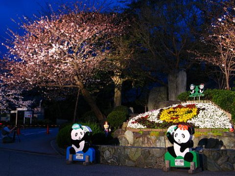 その他　神戸市立王子動物園（その他）まで827m