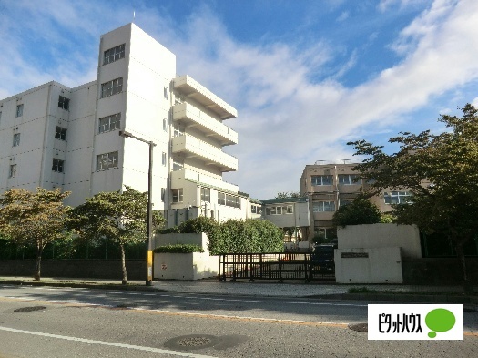 小学校　八千代市立新木戸小学校（小学校）まで924m