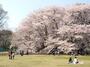 公園　都立砧公園正門（公園）まで685m