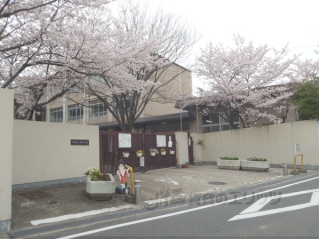 小学校　西野小学校（小学校）まで10m