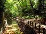 公園　等々力渓谷公園（公園）まで707m