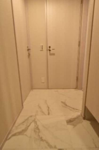 玄関　別部屋同仕様