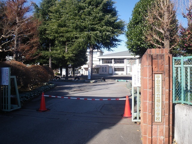 小学校　細谷小学校（小学校）まで20m