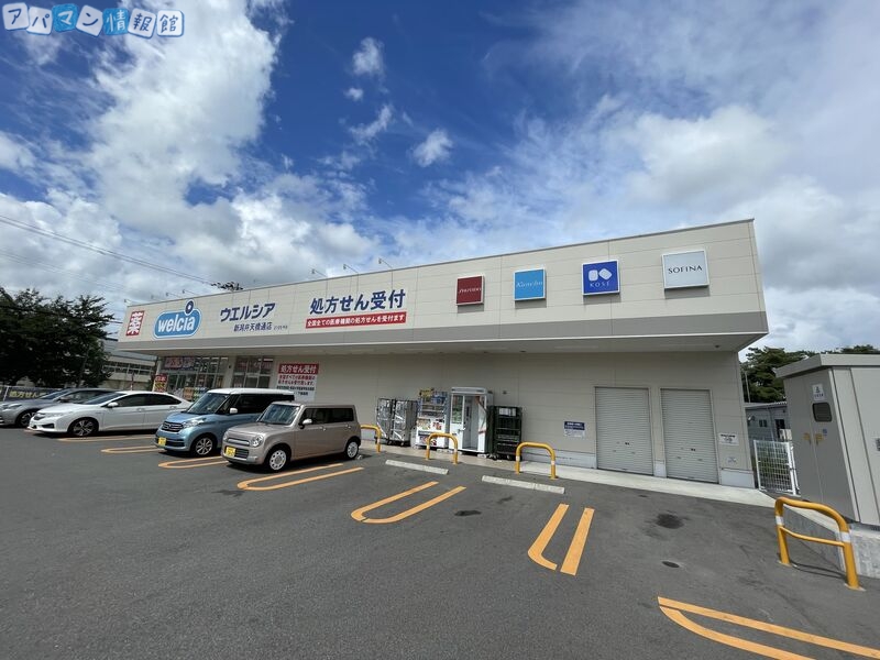 ドラックストア　ウエルシア新潟弁天橋通店（ドラッグストア）まで1144m