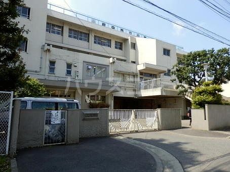 小学校　府中市立小柳小学校（小学校）まで928m