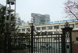 小学校　渋谷区立千駄谷小学校（小学校）まで498m