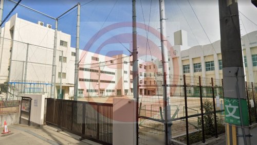 小学校　大阪市立桃陽小学校（小学校）まで278m