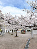 公園　川井公園（公園）まで519m