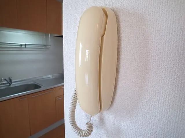 セキュリティ　音声インターホンです