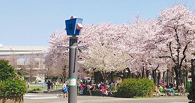公園　蒔田公園（公園）まで843m