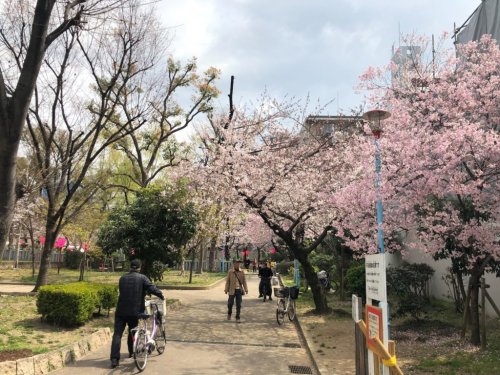 公園　高津公園（公園）まで816m