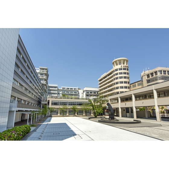大学・短大　帝塚山大学（大学・短大）まで3000m