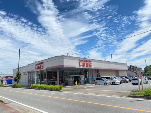 ショッピングセンター　しまむら 知多店（ショッピングセンター）まで287m