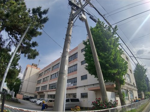 小学校　習志野市立鷺沼小学校（小学校）まで509m
