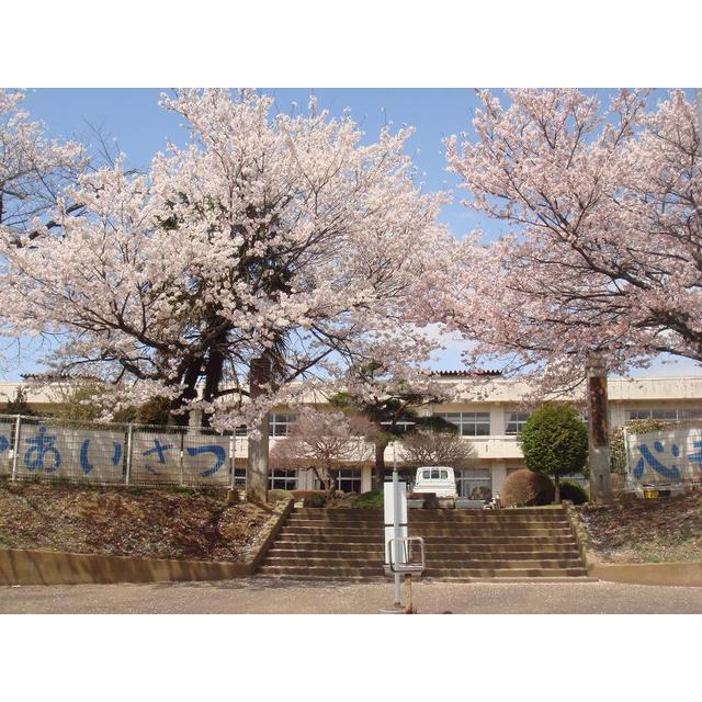 小学校　つくば市立島名小学校（小学校）まで1200m
