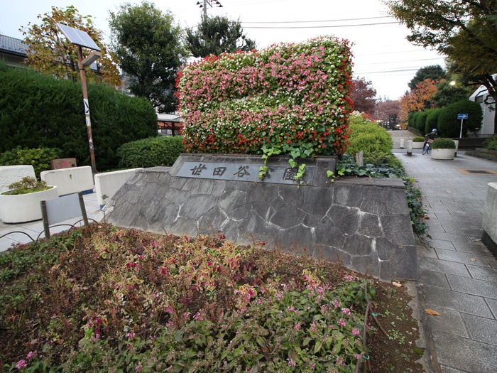 公園　世田谷公園（公園）まで800m
