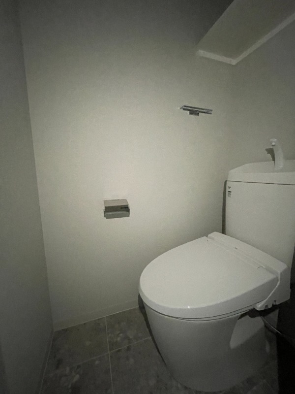 サーパスフォーシア大供のトイレ写真