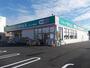 ドラックストア　セイムズひたち野うしく店（ドラッグストア）まで500m