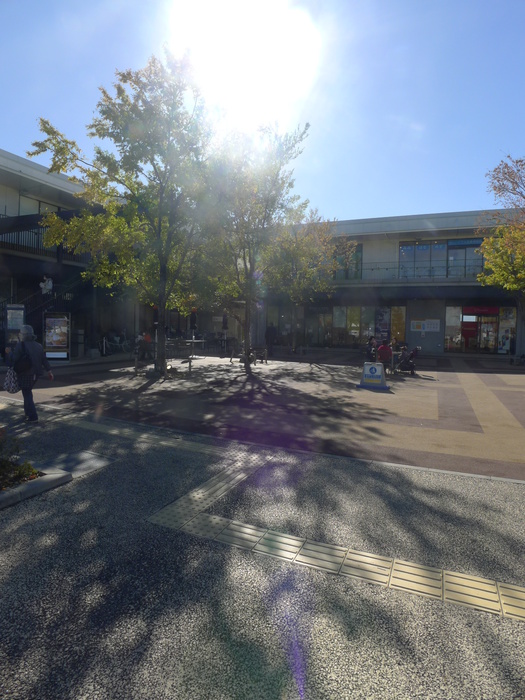 公園　ハレノテラス（公園）まで250m