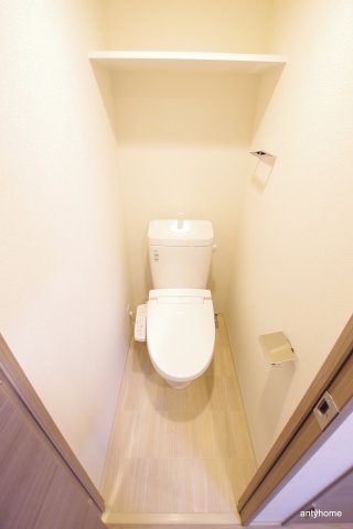 プレサンス OSAKA DOMECITY クロスティのトイレ写真