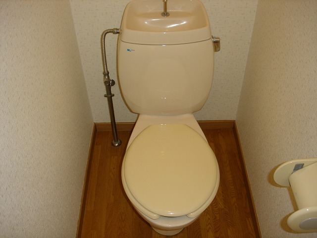 セントラルハイムのトイレ写真