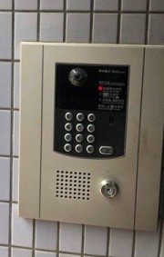クリスティー深沢のその他写真