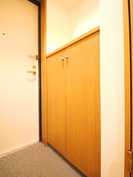レクセルコスモの玄関写真