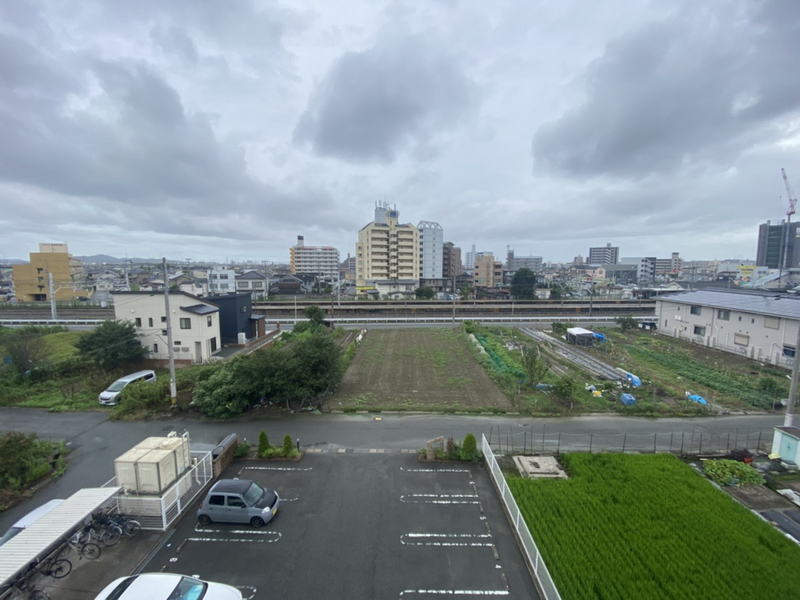 ワイズ オブリガートのその他写真