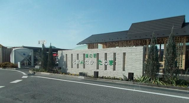 その他　どまんなかたぬま（その他）まで1600m