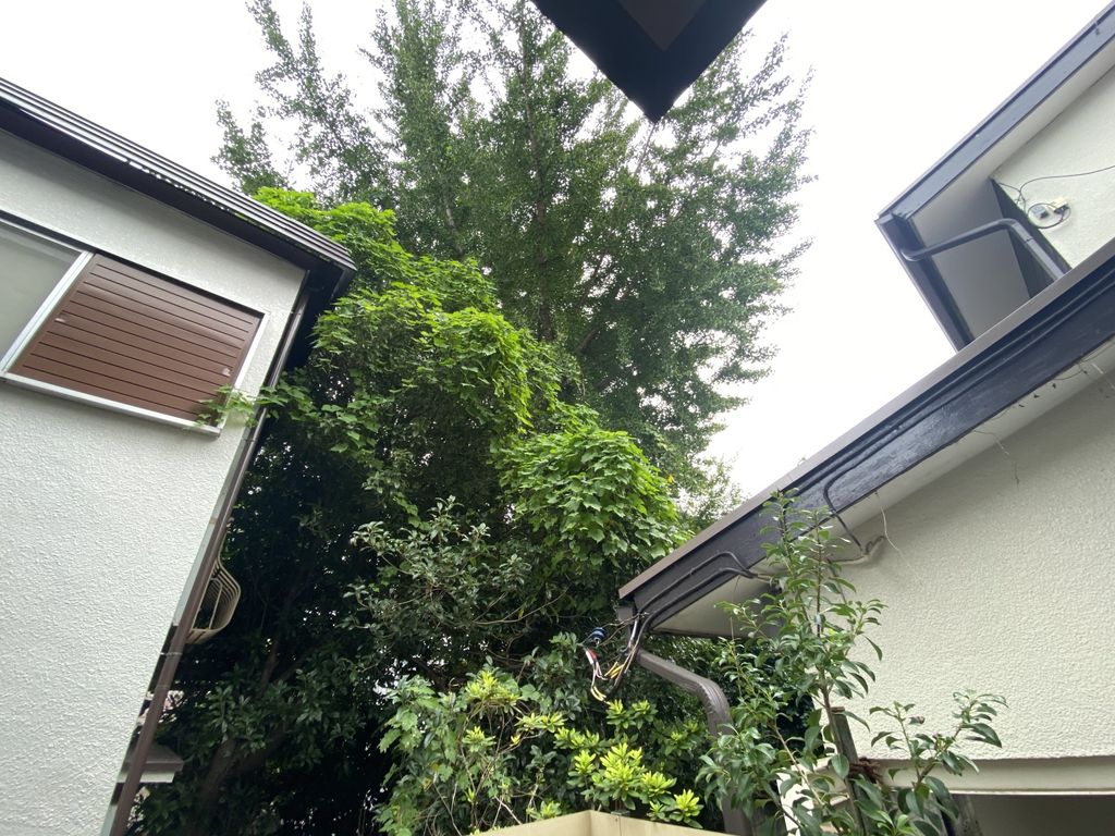 MoGA 下北沢のその他写真