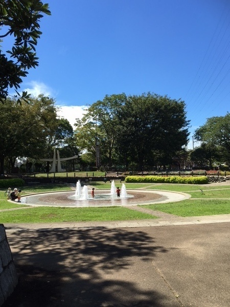 公園　天沼弁天池公園（公園）まで975m