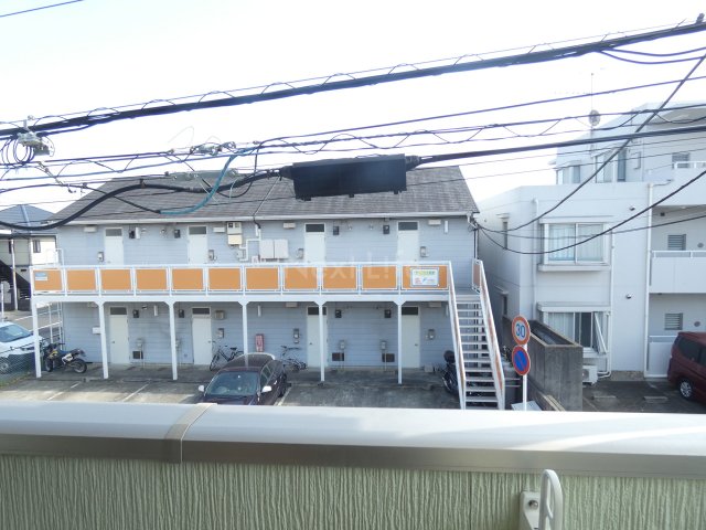 アプリコットのその他写真