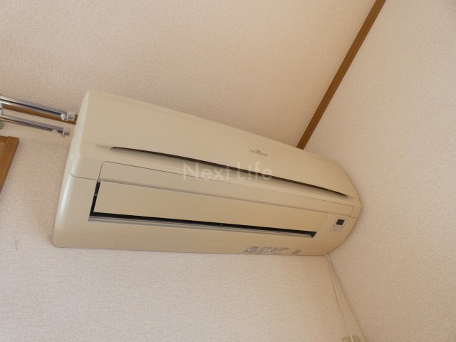 アプリコットのその他写真