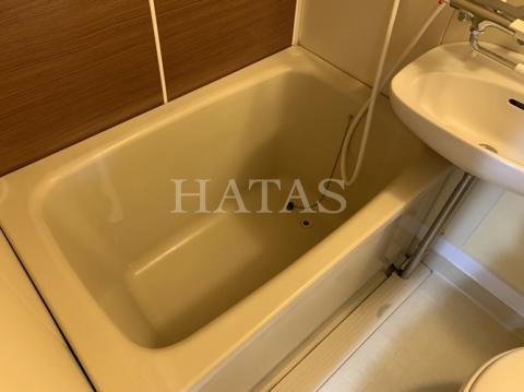 バス・シャワールーム　同物件別部屋です。