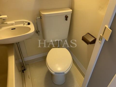 トイレ　同物件別部屋です。