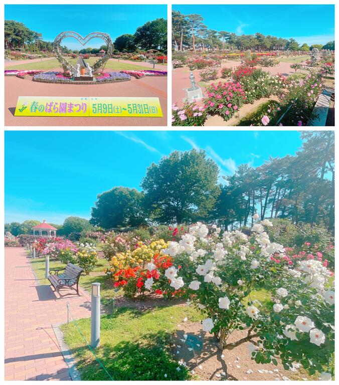 公園　バラ園（公園）まで420m